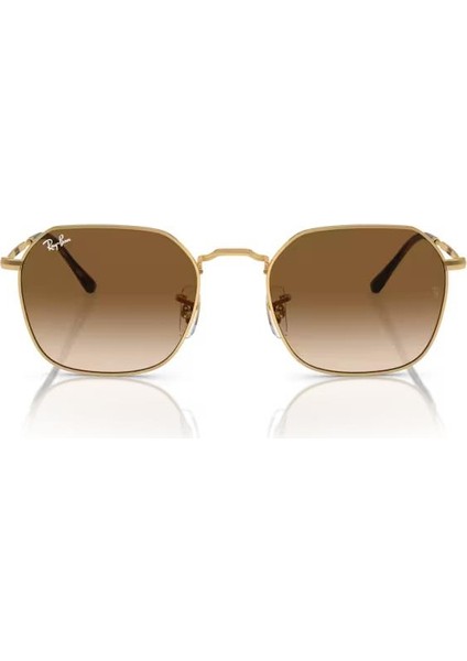 RB3694 001/51 53 Kadın Güneş Gözlüğü modelleri