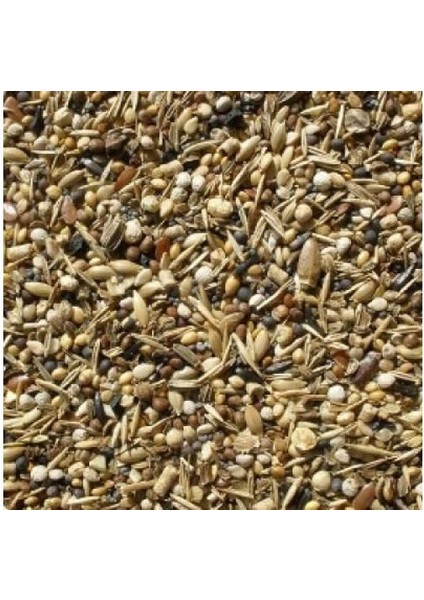 Sağlık Tohumu Kuş Yemi Yabani Sağlık Yohumu 500 Gram