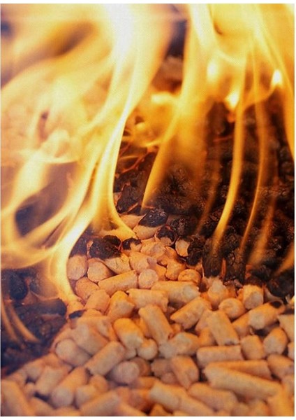 Pelet Yakıtı Kedi Kumu 6 mm %100 Doğal Çam Peleti 15KG modelleri