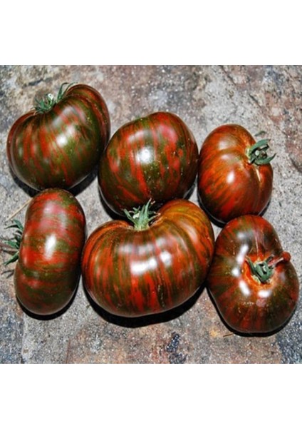 Black Zebra Domates Tohumu (15 Tohum)