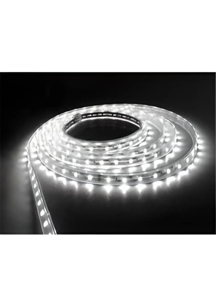 3 Çipli Şerit LED Iç Mekan 5 Metre ( Trafo Hariçtir )