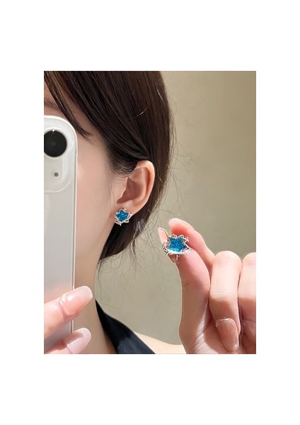 Mavi Yıldız Saplama Küpe, Yüksek Moda Küpeler (Yurt Dışından) fiyatları