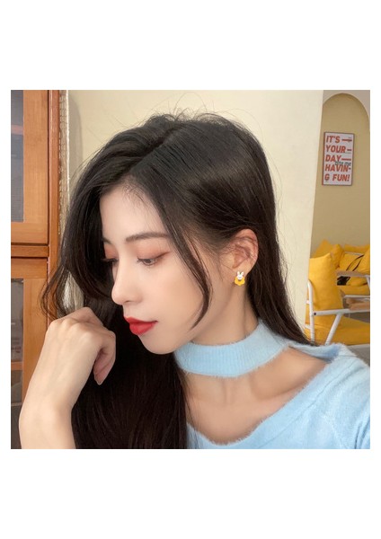 Sevimli Tavşan Küpeler, Mizaç Yüz Asimetrik Öğrenci Küpeleri (Yurt Dışından) modelleri