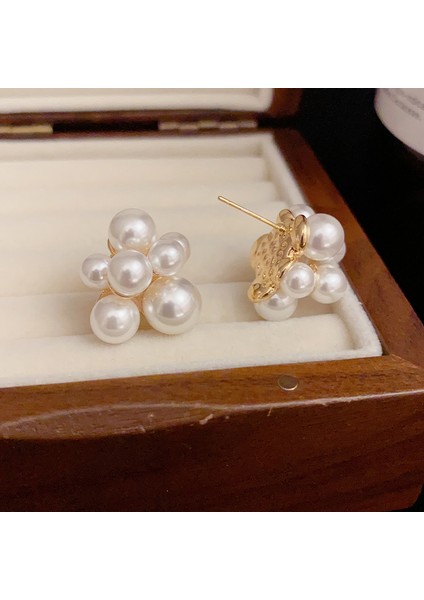 Tatlı Sade Mizaç Edebi Moda Inci Küpeler (Yurt Dışından) fiyatları