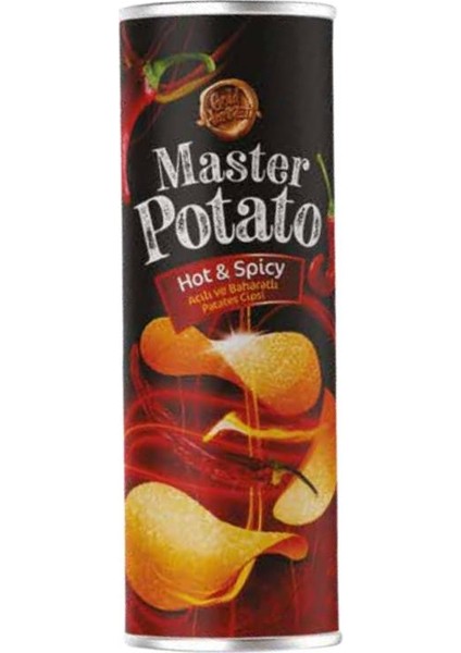 Master Patato Acı ve Baharat Çeşnili 160GR Hot Spicy