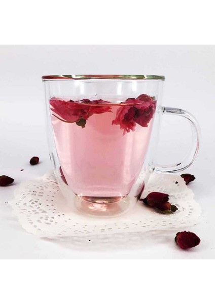 Çift Katman Kulplu Bardak 90 ml (Kcb-90) fiyatları