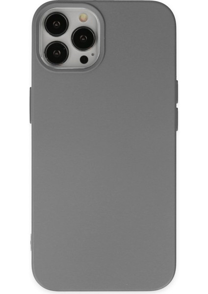 Caseworld Apple iPhone 15 Pro Max Kapak Içi Kadife Lansman Silikon Kılıf - Gri