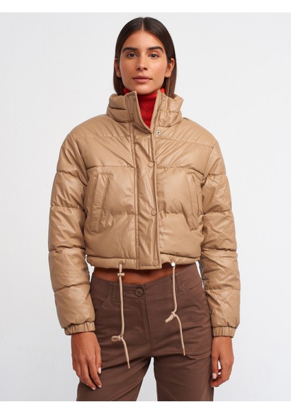 6878 Şişme Mont-Camel