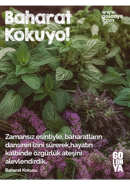 Baharat Kokulu Kolonya - 250 ml Cam Şişe