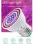 3x E27 80 Bitki Büyümek Lamba LED Tam Spektrum Büyüme Ampuller Fide Çiçek Hidroponik Bitkiler Için Phyto Lamba (Yurt Dışından) 3