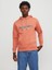 Jack & Jones Jorlakewood Unisex Sweat Hood  Bf Ln 12246802 2