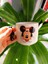 Mickey Mause Baskılı T Kulplu Kupa Bardak 1