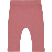 Babies Design Store Balina Desenli Kız Çocuk Alt Üst Takım