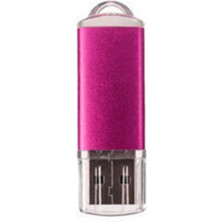 Newtık USB 2.0 Flash Sürücü Başparmak Kalem Veri Depolama 64GB 5 Adet Windows Xp/ 2000/ Vista/ 7/ 8/ 8.1/ 10, Pink (Yurt Dışından)