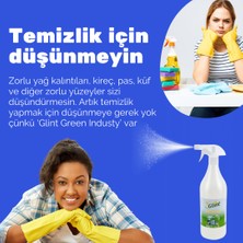 Glint Green Industry 5 Lt + 2 x 1 Lt %100 Bitkisel Endüstriyel Ekstra Güçlü Wc Kireç Temizleyici