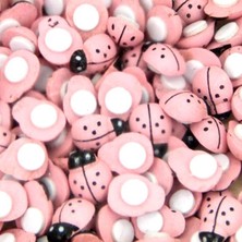 Pembe Uğur Böceği Yapışkanlı 100 Adet