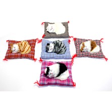 Yastıkta Uyuyan Kedi Sesli ALK24