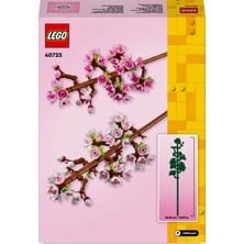 LEGO® Iconic Kiraz Çiçekleri 40725 - Dekoratif, Koleksiyonluk ve Sergilenebilir Çiçek Modeli Yapım Seti (430 Parça)