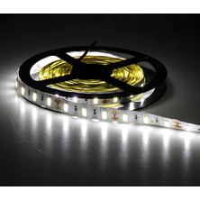 Cata Gold Iç Mekan 12 Çip Şerit LED 5m Beyaz Işık CT-4535
