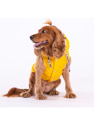 Pawstar Sarı Railway Yelek Köpek Yeleği Köpek Kıyafeti Köpek Yağmurluk - M