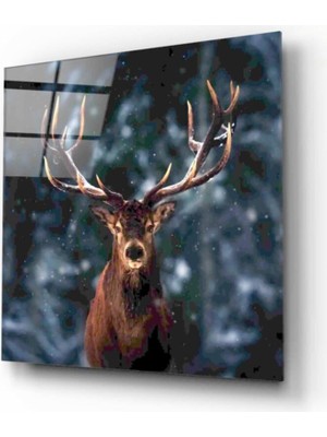 Miray Life Geyik Cam Tablo 50X50 cm