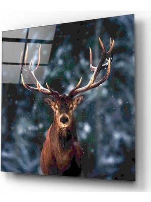 Miray Life Geyik Cam Tablo