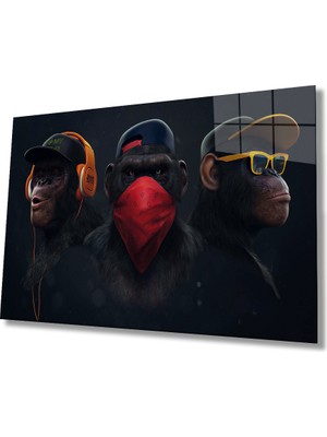 Miray Life Maymunlar Cam Tablo