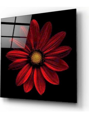 Çiçek Cam Tablo 50X50 cm