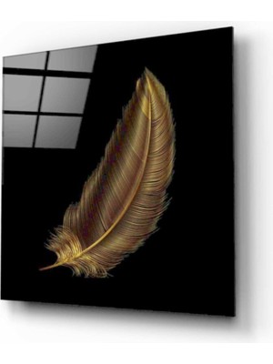 Altın Tüy Cam Tablo 50 x 50 cm