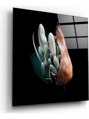 Miray Life Çiçek Cam Tablo