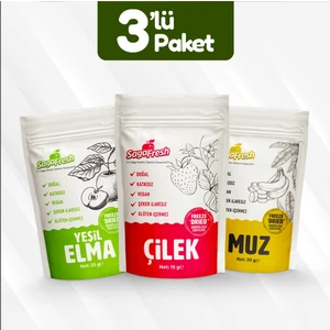 Saga Fresh Dondurularak Kurutulmuş Meyve 3'lü Set 2 (Yeşil Elma 25G, Muz 30G, Çilek 15G)