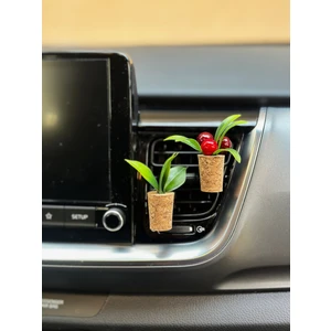 Plantarrium Design Oto Aksesuar/Koku-Kokina