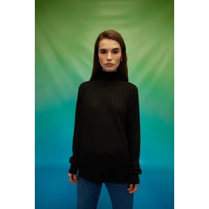 Kadın Balıkçı Yaka Siyah T-Shirt