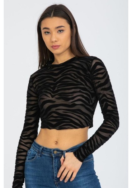 Desenli Tül Transparan Body