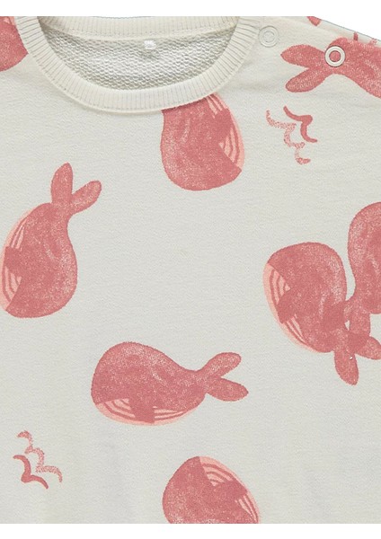 Balina Desenli Kız Çocuk Alt Üst Takım fiyatları