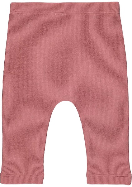 Balina Desenli Kız Çocuk Alt Üst Takım modelleri