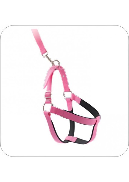Köpek Yumuşak Doku Destekli Göğüs Tasması Seti Pembe x s Beden