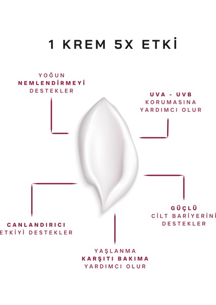 Face Cream Rich; Yoğun Nemlendirici, Besleyici, Canlandırıcı Zengin İçerik & SPF 30 UVA-UVB Güneş Korumalı Yüz Kremi 50ml Tüm ciltler için