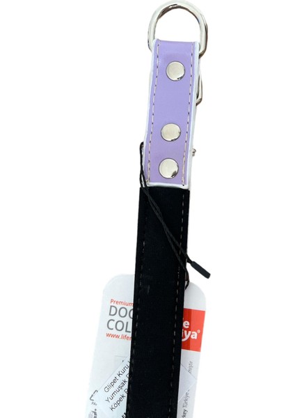 Kuru Kafalı Yumuşak Dokulu Lila Köpek Boyun Tasması 2 x 45 cm