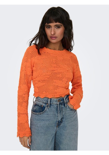 Bayan Arkası Dekolteli Örme Kazak 15317706