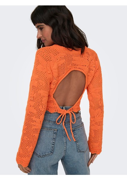 Bayan Arkası Dekolteli Örme Kazak 15317706 fiyatları