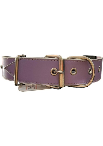 Kuru Kafalı ve Çivili Lila Renkli Destekli Yumuşak Doku Köpek Boyun Tasması 3 x 60 cm