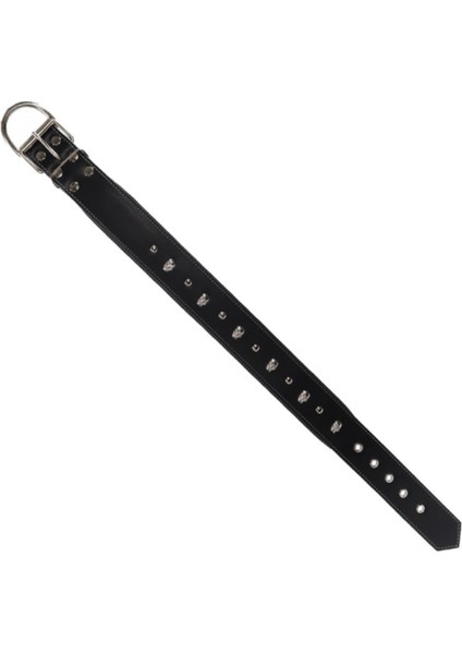 Kuru Kafalı Yumuşak Dokulu Siyah Köpek Boyun Tasması 2 x 45 cm