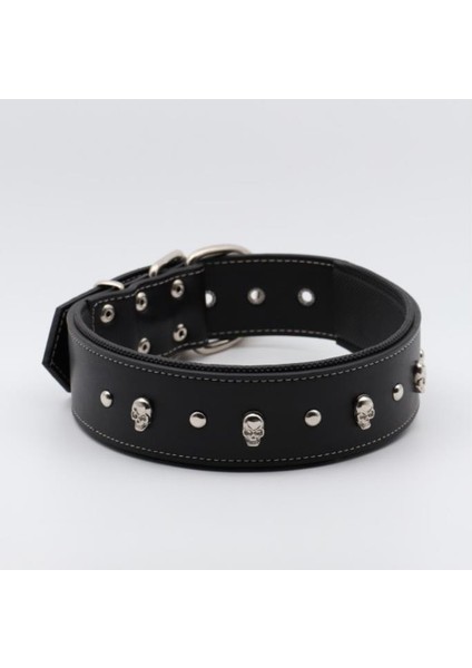 Kuru Kafalı Yumuşak Dokulu Siyah Köpek Boyun Tasması 2 x 45 cm modelleri