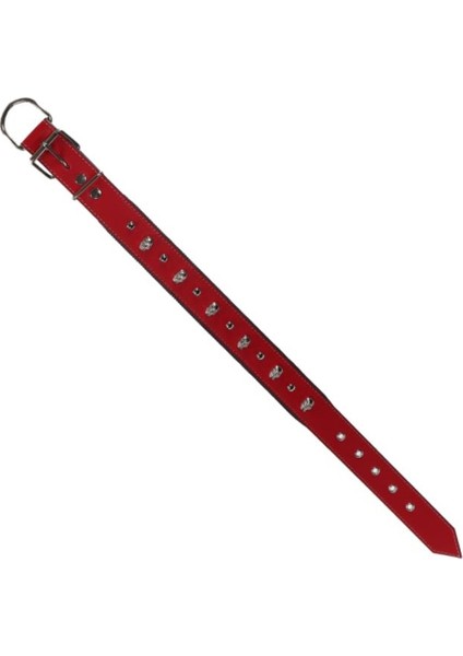 Kuru Kafalı ve Çivili Kırmızı Renkli Destekli Yumuşak Doku Köpek Boyun Tasması 3 x 60 cm