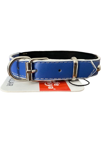 Lacivert Renkli Rivetli Destekli Boyun Tasması 2 x 40 cm