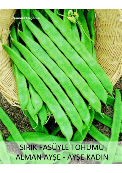 250 Adet Tohum Paket Kılçıksız Simbo Fasulye Tohumu Nadir Hediye Sebze Tohumlu