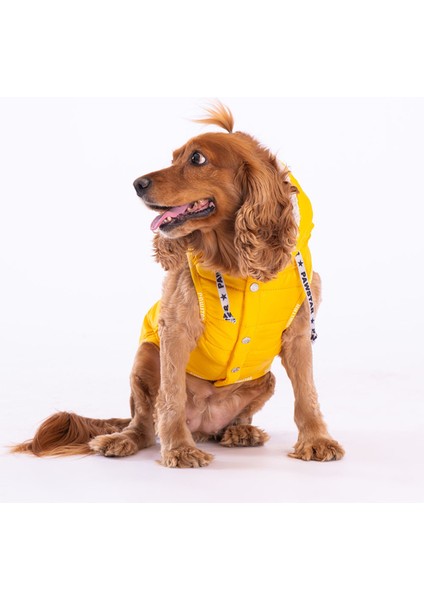 Sarı Railway Yelek Köpek Yeleği Köpek Kıyafeti Köpek Yağmurluk - M