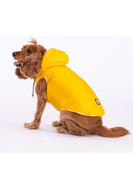 Sarı Railway Yelek Köpek Yeleği Köpek Kıyafeti Köpek Yağmurluk - M fiyatları
