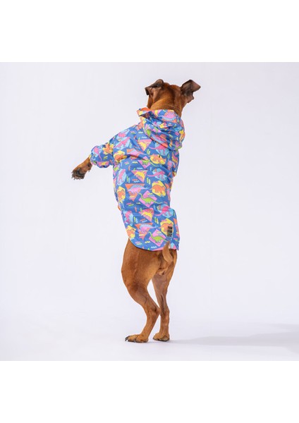 Dinosaurum Fileli Orta ve Büyük Irk Köpek Montu Köpek Yağmurluk Köpek Elbisesi Köpek Kıyafeti 4xl fiyatları